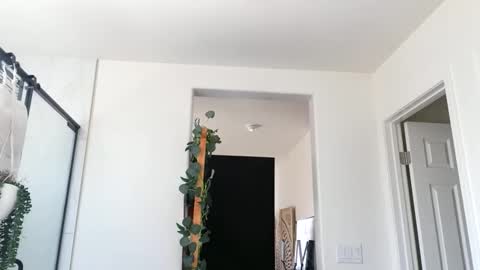 lovelyxmacii online show from 04-29-26, 06:47