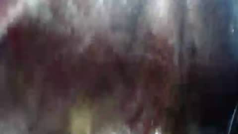 Snapshot of lover_mature2 chatting on 02-21-25, 10:37 Mature lover2 online show from 02-21-25, 10:37