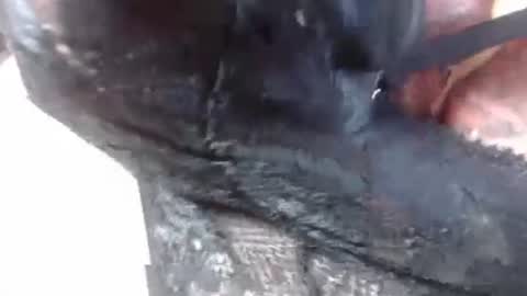 Snapshot of lover_mature2 chatting on 02-27-25, 09:14 Mature lover2 online show from 02-27-25, 09:14