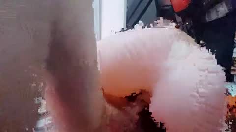 2096512345 online show from 02-13-25, 10:11