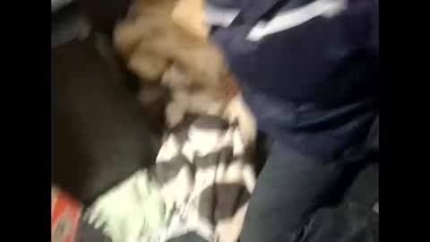 Snapshot of lshot_d chatting on 11-28-25, 08:00 Lshot D online show from 11-28-25, 08:00