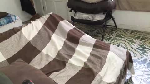 Snapshot of lucifer_curious chatting on 03-28-26, 04:39 lucifer_curious online show from 03-28-26, 04:39