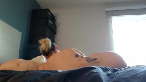 Snapshot of luckilyfound33 chatting on 03-12-26, 01:06 luckilyfound33 online show from 03-12-26, 01:06