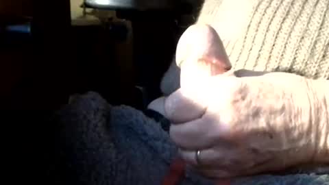 Snapshot of luckypirateboy chatting on 03-08-26, 10:08 BIG Daddy cock. Tips make it harder online show from 03-08-26, 10:08