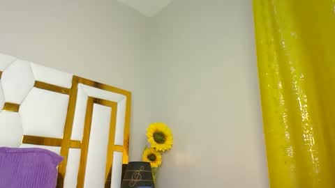 Snapshot of luckyy003 chatting on 03-01-25, 05:16 brielle online show from 03-01-25, 05:16