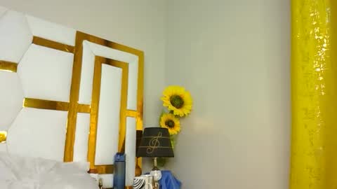 Snapshot of luckyy003 chatting on 03-07-25, 08:33 brielle online show from 03-07-25, 08:33