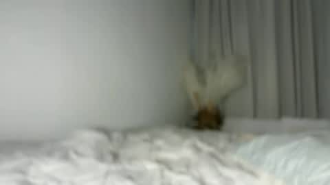 lucyforr online show from 08-01-26, 04:23