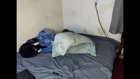 Snapshot of lukeandali23 chatting on 02-01-25, 03:30 Lukeandali420 online show from 02-01-25, 03:30