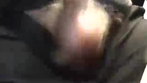 Snapshot of lukestarfckr chatting on 05-29-26, 01:53 lukestarfckr online show from 05-29-26, 01:53