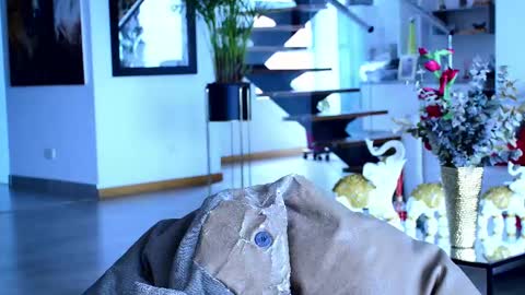 Lukhas f4f online show from 02-26-25, 03:41