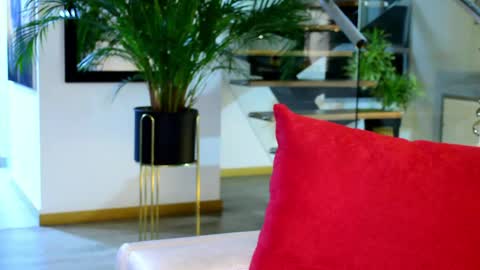 Lukhas f4f online show from 04-28-26, 02:27