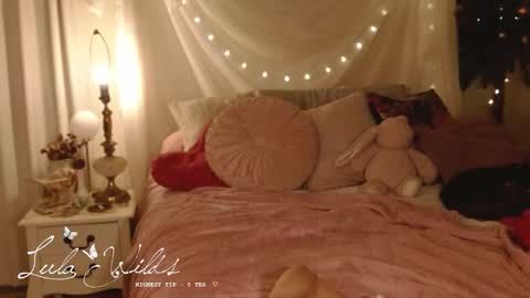 Snapshot of lulawilds chatting on 12-17-25, 03:45 lula wilds online show from 12-17-25, 03:45