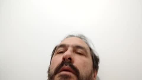 Snapshot of luluberlu042 chatting on 01-08-25, 02:35 Ludo online show from 01-08-25, 02:35