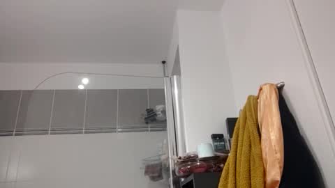 Snapshot of luluberlu042 chatting on 10-15-25, 04:45 Ludo online show from 10-15-25, 04:45