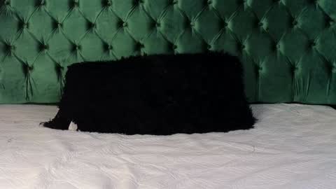 Snapshot of lumars_ chatting on 01-29-25, 01:37 Lumars online show from 01-29-25, 01:37