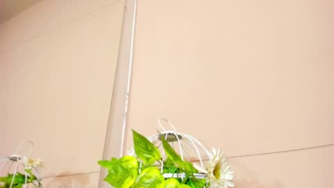 luna_bradley_ online show from 04-25-26, 12:41