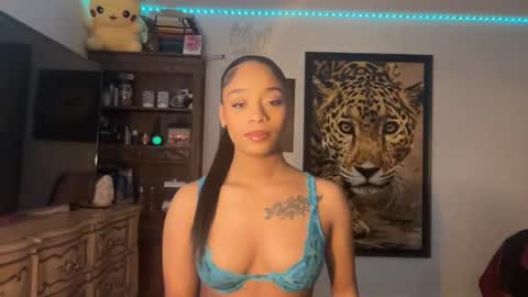 Snapshot of lunaa_11 chatting on 01-13-25, 06:06 lunaa_11 online show from 01-13-25, 06:06