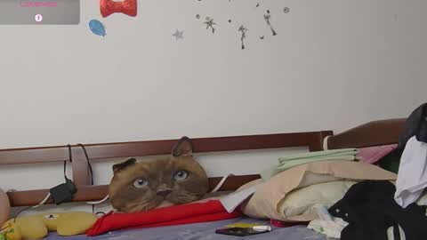 LUNA online show from 11-12-25, 06:41