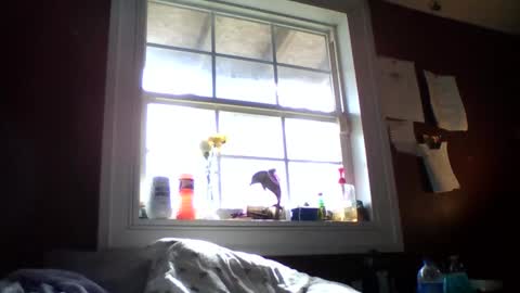 Snapshot of lunasecretadmirer chatting on 02-14-26, 07:21 lunasecretadmirer online show from 02-14-26, 07:21