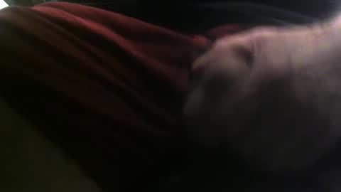 Snapshot of lunatica12 chatting on 02-23-25, 06:17 lunatica12 online show from 02-23-25, 06:17