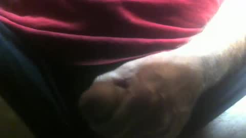 Snapshot of lunatica12 chatting on 02-10-26, 04:27 lunatica12 online show from 02-10-26, 04:27