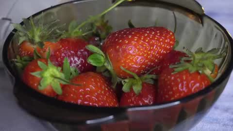 Snapshot of luntiki chatting on 05-15-26, 11:45 Amelia online show from 05-15-26, 11:45