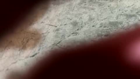 lust_4_daze online show from 02-13-26, 07:21