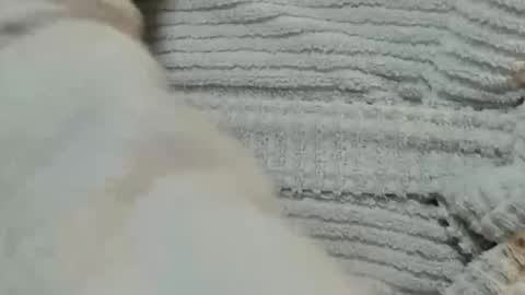 Snapshot of lustgardener67 chatting on 12-09-24, 06:03 lustgardener67 online show from 12-09-24, 06:03