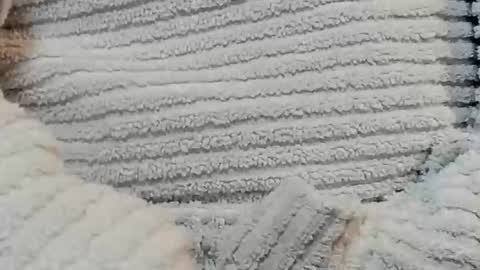 Snapshot of lustgardener67 chatting on 12-15-24, 04:48 lustgardener67 online show from 12-15-24, 04:48