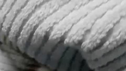 Snapshot of lustgardener67 chatting on 01-19-25, 07:15 lustgardener67 online show from 01-19-25, 07:15