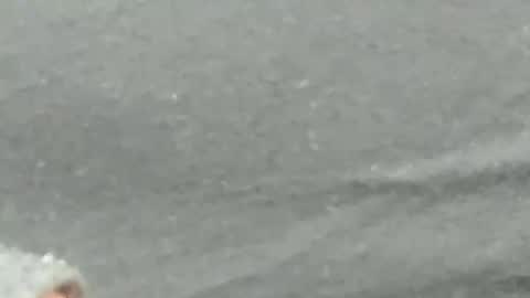 Snapshot of lustgardener67 chatting on 02-04-25, 09:28 lustgardener67 online show from 02-04-25, 09:28