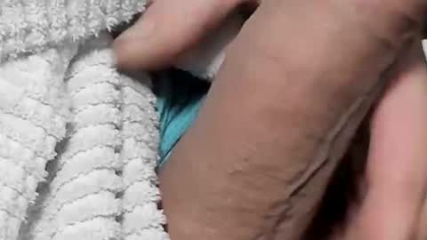 Snapshot of lustgardener67 chatting on 02-04-25, 05:45 lustgardener67 online show from 02-04-25, 05:45