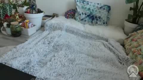 Snapshot of lustlnbalancevh chatting on 01-19-26, 07:56 lustlnbalancevh online show from 01-19-26, 07:56