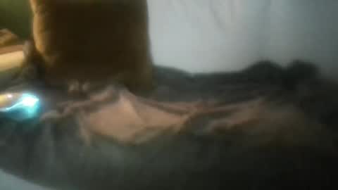 luvbigtits271 online show from 01-01-25, 06:26