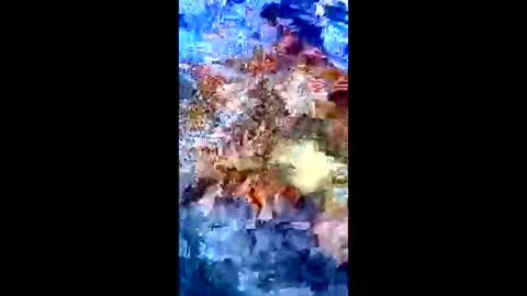 Peter Jacksone online show from 01-10-26, 08:54