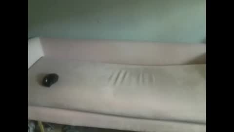 luvmesluts online show from 10-06-25, 07:33