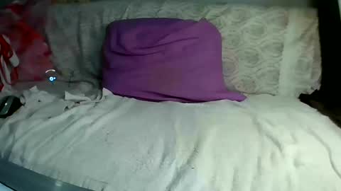 Bee Bee online show from 03-10-25, 06:38