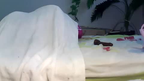 Bee Bee online show from 09-22-25, 03:41