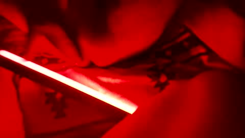 lyinonme online show from 10-24-25, 12:01