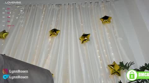 Lynx Rosen online show from 01-18-25, 12:13