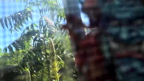 SLoppYxXPeeHoLeXxGspotxX online show from 02-15-26, 08:38