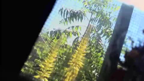 SLoppYxXPeeHoLeXxGspotxX online show from 02-22-26, 07:34