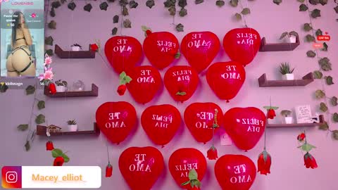 Macey Elliot Modelo Independiente online show from 02-15-25, 02:55