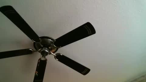 Manuel online show from 01-05-25, 12:31