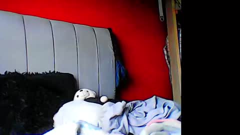 Snapshot of madelainee_buk chatting on 12-13-24, 08:26 Buk online show from 12-13-24, 08:26