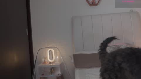 Valentina   1030   530  -  online show from 02-14-26, 06:21