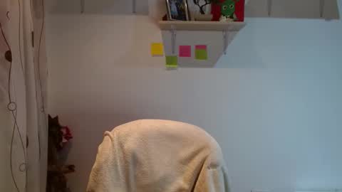 Madison Cambel online show from 02-12-25, 03:40