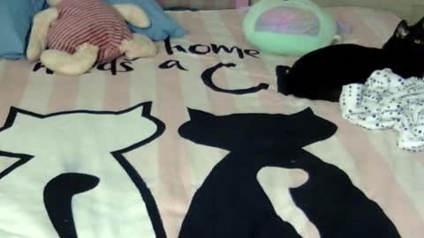 maferchavez88 online show from 01-17-26, 03:11