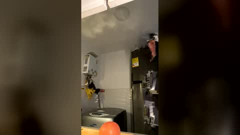 Snapshot of magic_tony chatting on 12-18-25, 10:38 Tony Hoffa online show from 12-18-25, 10:38