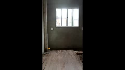 Snapshot of maicom222 chatting on 03-01-26, 03:58 SILVA online show from 03-01-26, 03:58